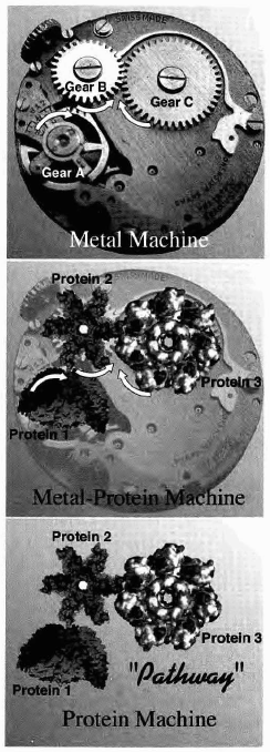 Machine