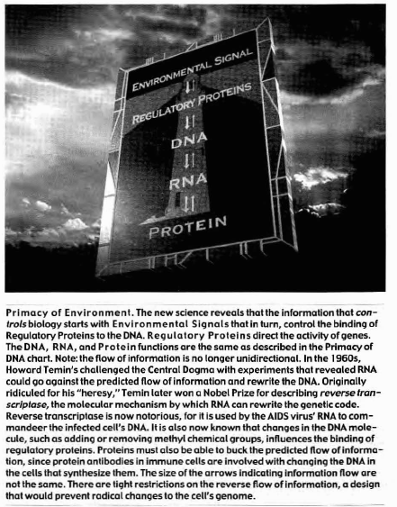Primacy of Environment